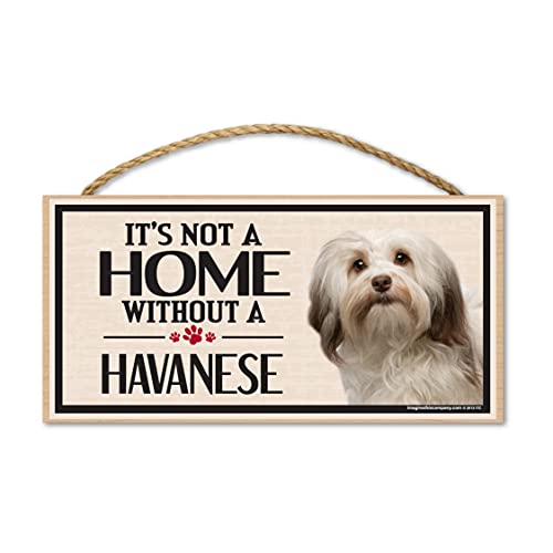 Image of Imagine This Wood Sign for Havanese Dog Breeds