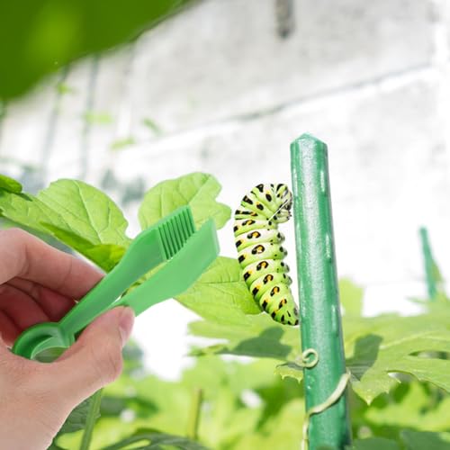 Toyvian 10 Peças Pinças Pequenas Para Crianças Motor Fino - Brinquedos De Pinça De De Plástico - Ute