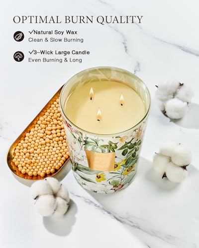 MSENSE Sage Citrus Scented Candle Home Decor Extra Large 3 Wick Natural Soy Wax Candles for Home Scented Christmas Candles Gift for Winter Holiday 150 Hours Long Lasting Slow Burning 35 OZ