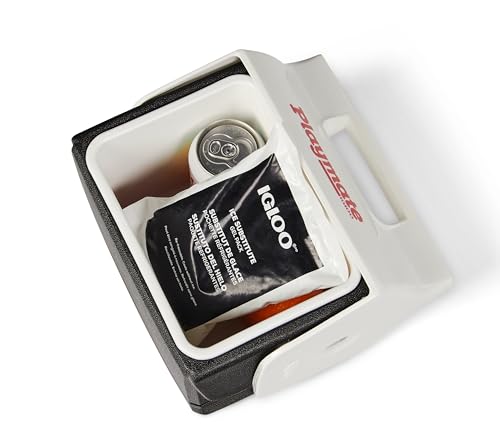 Image of Igloo MaxCold Gel Ice Packs, Reusable Ice Packs for Coolers, Long Lasting Cold Freezer Pack for Lunch Boxes and Camping