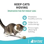 Raw Paws Catnip Balls for Cats, (6-Count) - Interactive Cat Toy for Indoor Cats - Cat Nip Licking Balls - Image 5