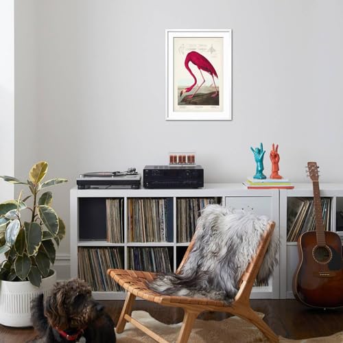 Art.com Wall Art Print Pl 431 American Flamingo on White Frame by John James Audubon, 21" x 29" by ART.COM - Used condition - Image 2