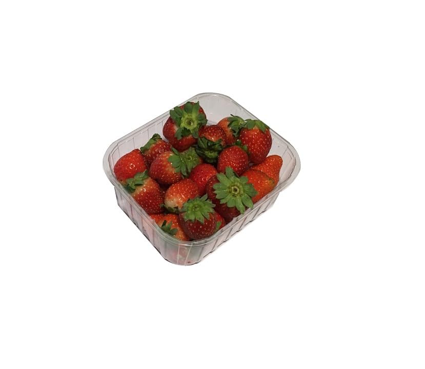 CESTINI VASCHETTE FRUTTA da 500 gr R-PET CONTENITORI MUNITI DI FORI IDEALI PER FRUTTA e ORTAGGI (PZ 520) Con Altezza Sponda da 6 cm