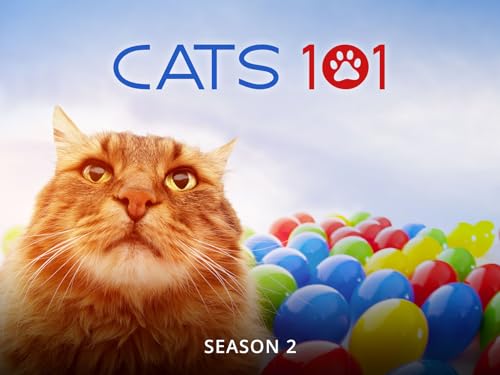 Cats 101 Season 2