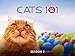 Cats 101 Season 2