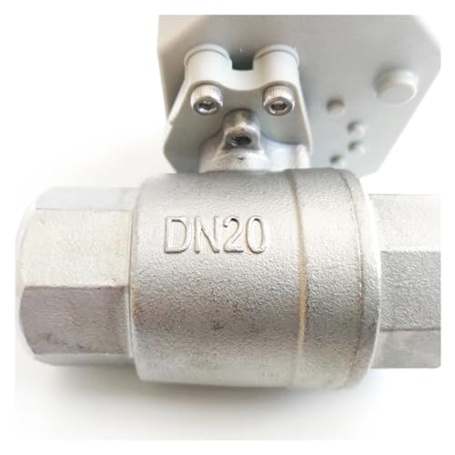 Vanne à commande électrique en acier inoxydable robuste avec filetage NPT 3/4 - 3