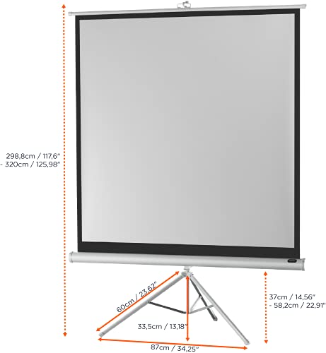 celexon Economy Stativ-Leinwand wei&szlig; 135 | 244x244 cm 1:1 | mobil transportable 4K, Full-HD Beamerleinwand mit manuellem Rollauszug f&uuml;r Heimkino, B&uuml;ro & Outdoor | inkl. Standfu&szlig; + Tragegriff