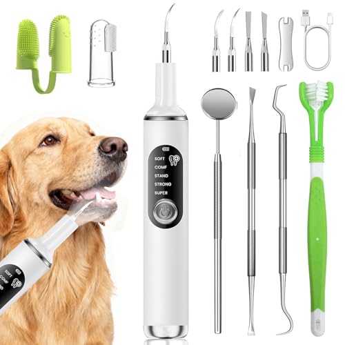 PATWING Dog Plaque Remover with LED