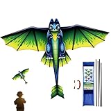 Riesiger | Großer Tierdrachen tragbar mit Griff und Draht 100 m, Spielzeug für Kinder im Freien | Für Erwachsene Familie Jugendliche Jugendliche Entspannung Hinterhof Garten