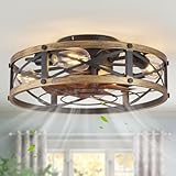 SabvioZh - Ventilador de techo de jaula con luz, sala de estar