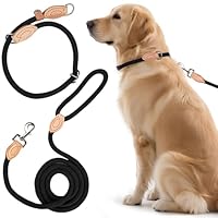 2 STK Freestyle Dressurhalsung Set, Zugstopp Halsband und Hundeleine Set,1.4 cm Retriever Halsband Hundeleine,Robustem Nylon Trainingshalsband Hund, Lederimitat mit Metallring