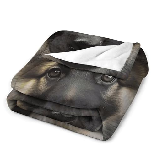 Couverture douce berger allemand idéale pour soirées cocooning canapé - 4