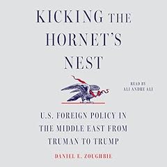 Kicking the Hornet's Nest Audiolibro Por Daniel E Zoughbie arte de portada
