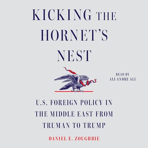 Kicking the Hornet's Nest Audiolivro Por Daniel E Zoughbie capa