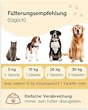 Lucky Pets Vitamin B Komplex für Hunde – 140 Tabletten mit Allen 7 B-Vitaminen für Starke Nerven und Immunsystem – Vitamin B Komplex Hund hochdosiert für mehr Vitalität – Made in Germany