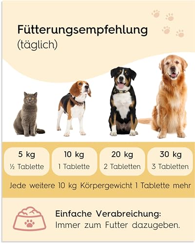 Vitamin B-Komplex Hund 140 Tabletten I Alle 7 B-Vitamine, Starke Nerven & Immunsystem, hochdosiert, Deutscher Hersteller I hohe Akzeptanz I Lucky Pets