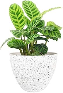 Flower Pots Outdoor Indoor Garden Planters,Plant Containers with Drain Hole, Speckled White