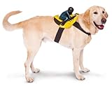 Paper Magic Bike Rider Pet Costume One-Size Yellow