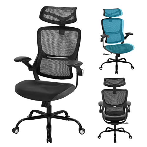 Chairoyal Office Chair Ergonomic Desk Chair Mid-Back Mesh Computer Chair Adjustable Lumbar Support and Stool Rolling