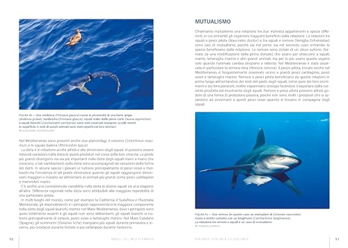 Squali Del Mediterraneo. Ediz. A Colori - 8
