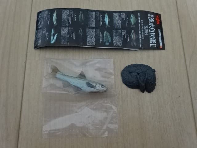 Amazon.co.jp: 原色淡水魚図鑑 Ⅱ 改訂版 ホンモロコ フィギュア