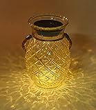Outdoor Hanging Solar Lights,Solar Lantern Pineapple Shape Glass Jar Light with Rope Waterproof...