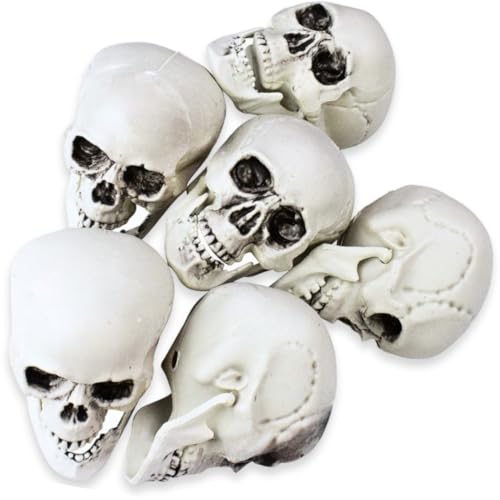 Northlight NORTHLIGHT AR82602 6 Pack Skeleton Skull Heads Halloween Decorations, 4.75