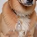 Dog Hair Keepsake Keychain,Dog Hair Collector Keychain Charm Memorial Storage Boxs,Pet Memorial Transparent Keychain(Golden Retriever).