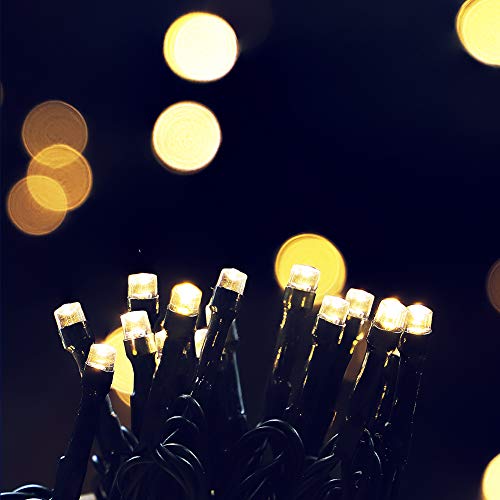 Mygoto 33Ft 100 Leds String Lights,Green Wire Waterproof Fairy Lights 8 Modes 30V Ul Certified Plug In Xmas Lights For Home, Garden, Wedding, Party, Christmas Decoration Indoor Outdoor (Warm White) #TOP1