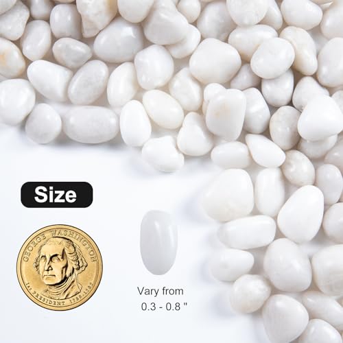 Image of 20lb White River Rock- High Polished Pebbles for Indoor Plants- Decorative Stones for Aquarium Fish Tank - White Rocks for Outdoor Garden Landscaping - 0.3 inch-0.8 inch