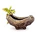 Top Collection Rex The Green Dragon Perched on Succulent Planter and Air Plant Pot, 4.75-Inch Tall 7.5-Inch Wide, Cute Magic Dragon Statue