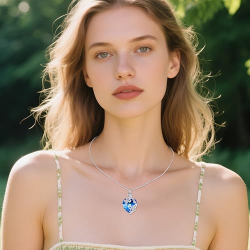 TOUPOP Sterling Silver Urn Necklace for Ashes with Crystal Memorial Keepsake Hummingbird/Dragonfly/Butterfly/Cardinal Cremeation Jewelry Birthday Christmas Gifts for Her Women4