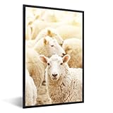 Impression extra nette : l'image est imprimée avec la meilleure qualité possible sur un papier photo haut de gamme. Cela garantit une impression nette, aux couleurs éclatantes et inaltérables.