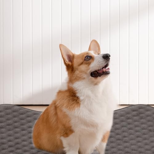 Tapis de cage pour chien antidérapant et résistant à la mastication