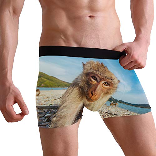 ZZKKO Giraffe Cat Mens Boxer Briefs Underwear Breathable Stretch Boxer Trunk with Pouch S-XXL4