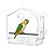 Acrylic Window Bird Feeder Strong Suction Cups with Shield Roof Drain Holes Outdoor Clear Bird House