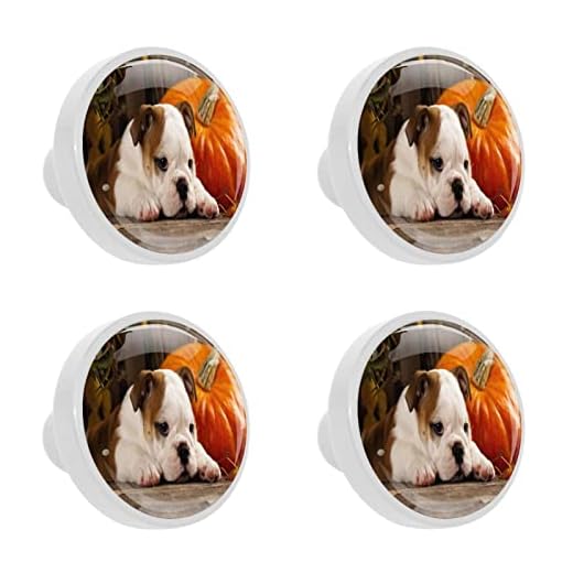 Engelsk bulldogg och en pumpa låda knopp draghandtag kristall glas cirkel form skåpknoppar med skruvar för hemmakontor skåp (30 mm, 4 st)