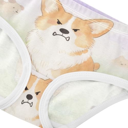 GuoChe Cotton Briefs Elastic Waistband Panties Comfort Underwear for Toddler in Sizes 2T,3T, 4T, 5T, 6Y and 8Y4