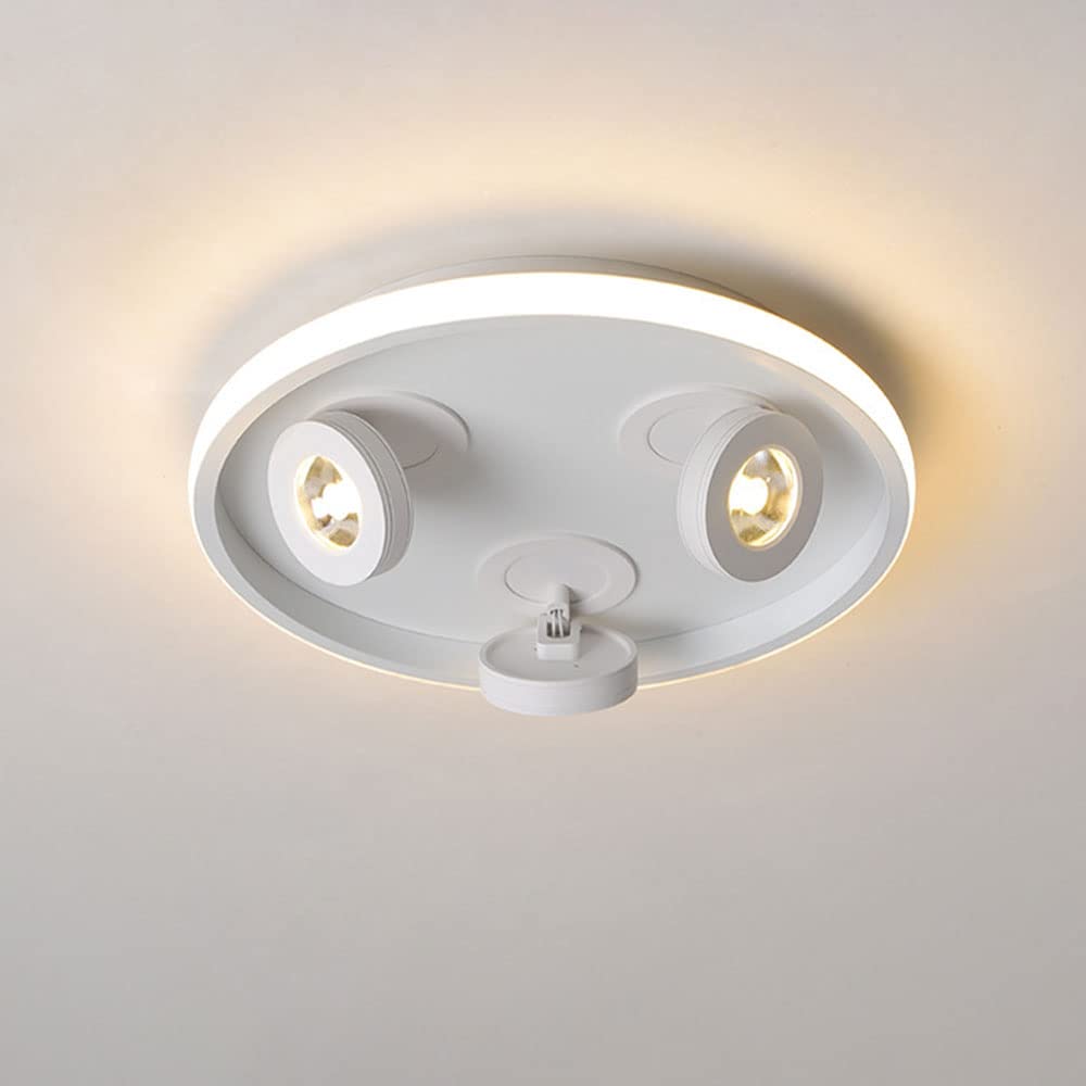 Plafonnier LED 30W orientable avec downlight de plafond intérieur
