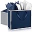 Navy Blue, Silver