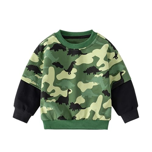 Toddler Boy Long Sleeve Crewneck Sweatshirt Dinosaur Print Spring