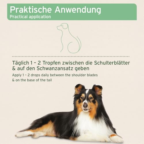 AniForte Ectoprotex Dog Margosa Extrakt Spot On für Hunde 50ml - Repellent für Hunde, erlesene Mischung aus ätherischen Ölen & Margosaextrakt