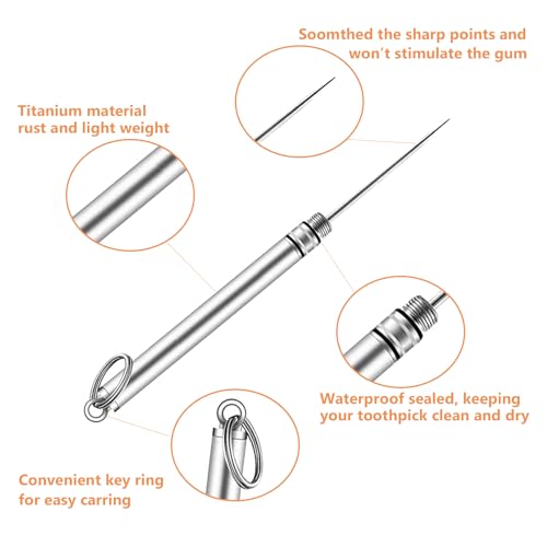 portable mini titanium toothpicks holder 2 pieces stainless steel metal toothpicks reusable toothpick for home outdoor