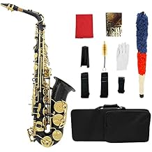 Saxophone Straight Brass Engraved EB E-Flat Alto Saxophone Sax Abalone Shell Buttons Wind Instrument with Case Gloves Cleaning Cloth Belt Brush