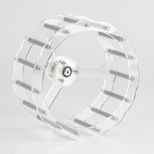 Roue de course pour perroquet silencieuse et stable de 19.5 cm pour stimuler son intelligence