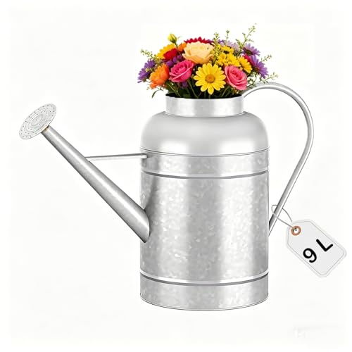 Regadera galvanizada para plantas de interior al aire libre, cuenco de 2,3 galones, jarra de agua con caño extraíble, regadera de metal para plantas de interior y flores de jardín