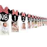Minnie 12-Month Photo Banner [Red Bow] | 1st Birthday Party Supplies & Decoration | Reusable & Durable | Adjustable Ribbon For Easy Hanging | Perfect Party Banner For Kids First Birthday