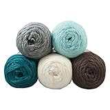Herrschners Caron Simply Soft Yarn Pack