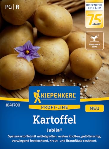 Kiepenkerl Kartoffelsamen Jubila F1 1041700 – frühe Speisekartoffel, festkochend, gelbfleischig, ertragreich & krautfäuleresistent, Saatgut