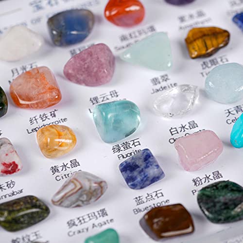 Mejores precios y opiniones de Colecciones minerales - solo los mejores. 2 Imagen adicional
